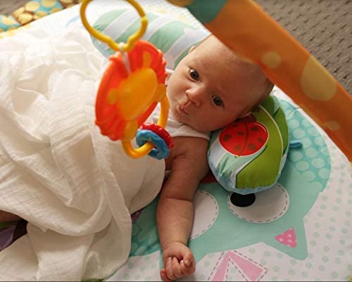 Baby Play Gym: image 6